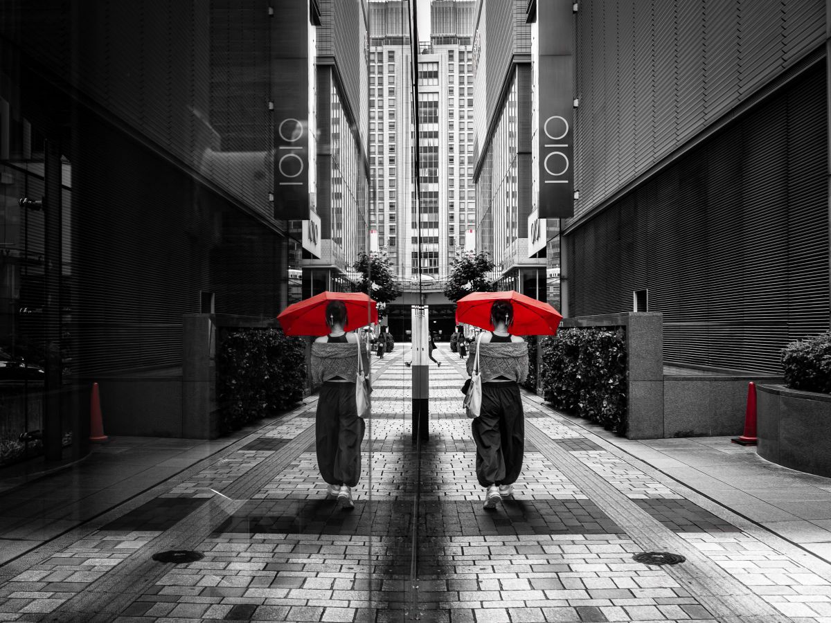 写真の通り M.ZUIKO DIGITAL ED 8-25mm F4.0 PROで撮影された写真 | 写真検索 | GANREF