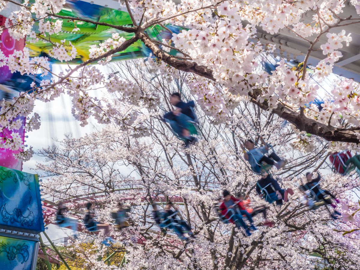 M.ZUIKO DIGITAL ED 14-150mm F4.0-5.6で撮影された写真 | 写真検索