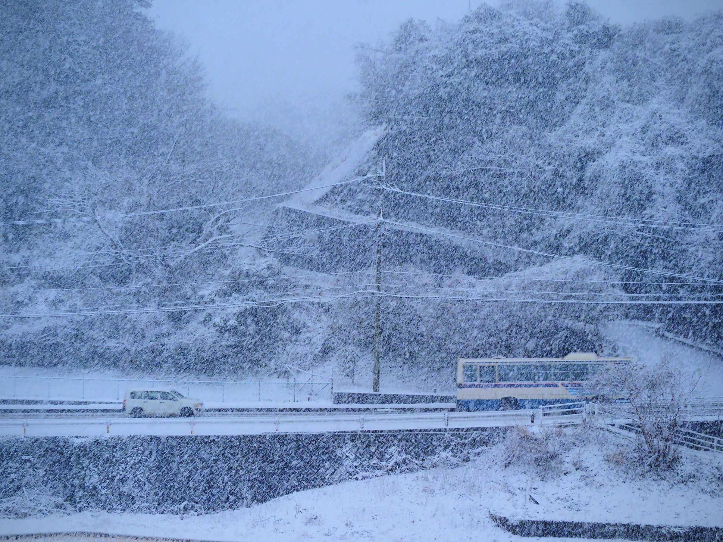 降りしきる雪 | GANREF