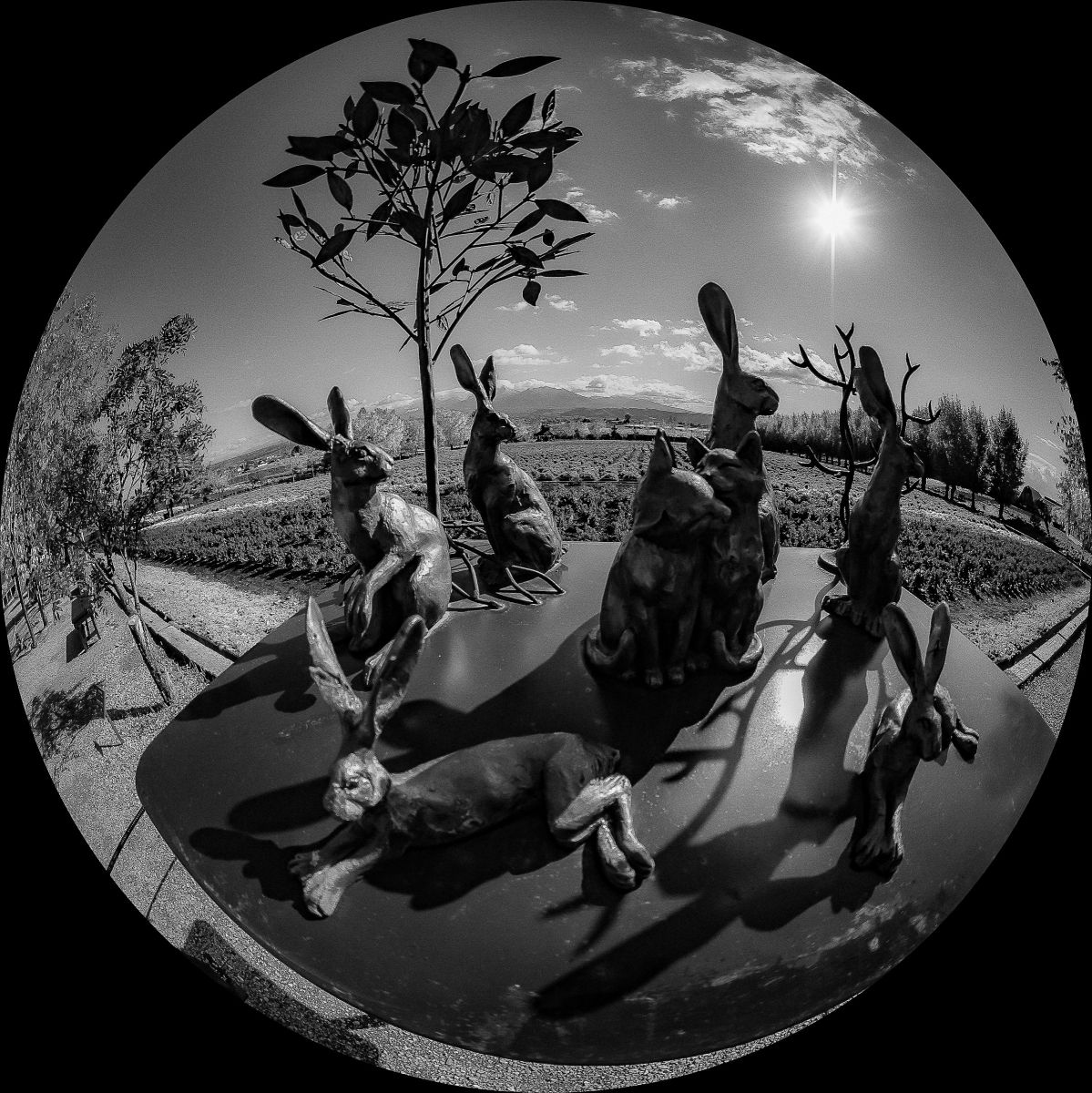 Moon | GANREF