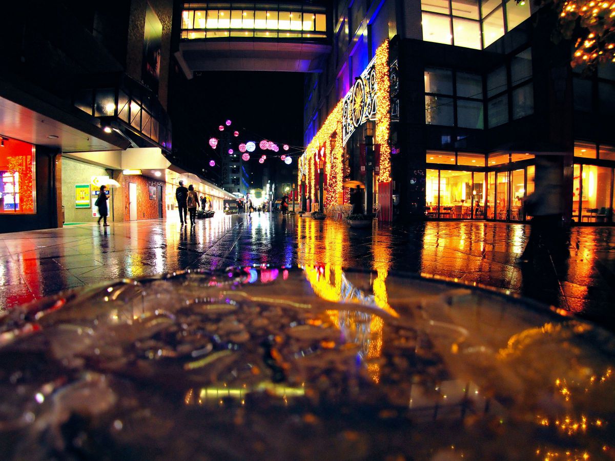Reflection | GANREF