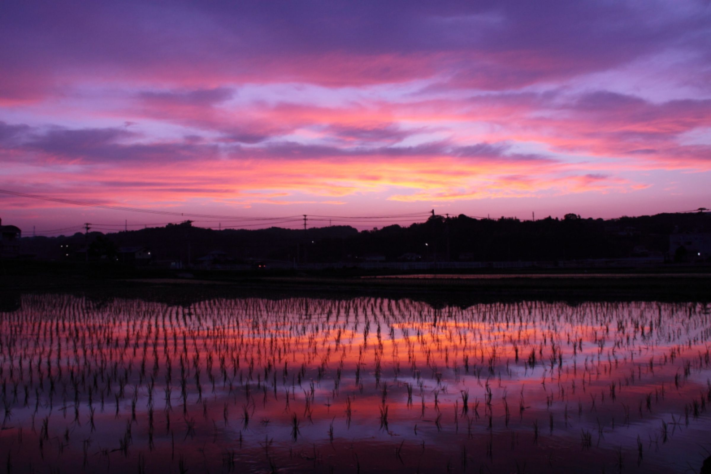 田んぼの夕焼け | GANREF