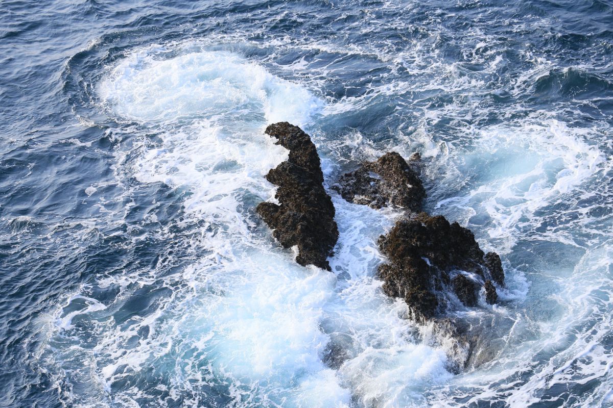 ゴジラ 海で溺れる 自然 風景 海 Ganref