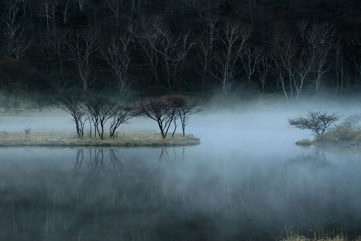 18-300mm F/3.5-6.3 Di III-A VC VXDで撮影された写真 | 写真検索 | GANREF