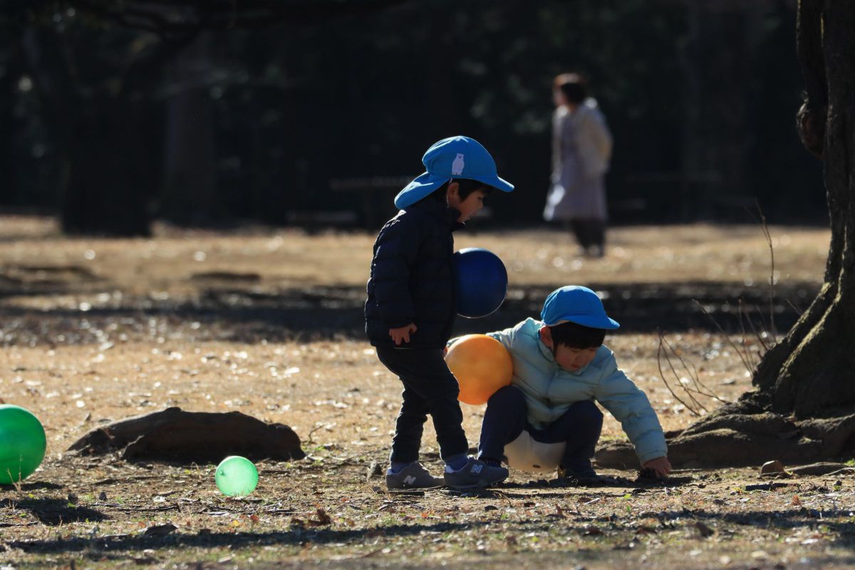 どんぐり拾い | GANREF