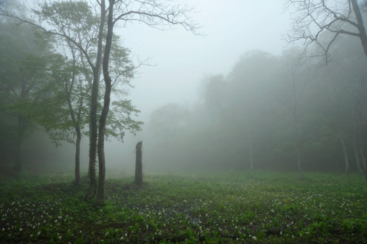 雨に煙る 自然 風景 水辺 Ganref