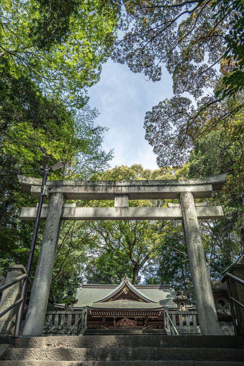 湯河原のパワースポット「五所神社」 | GANREF