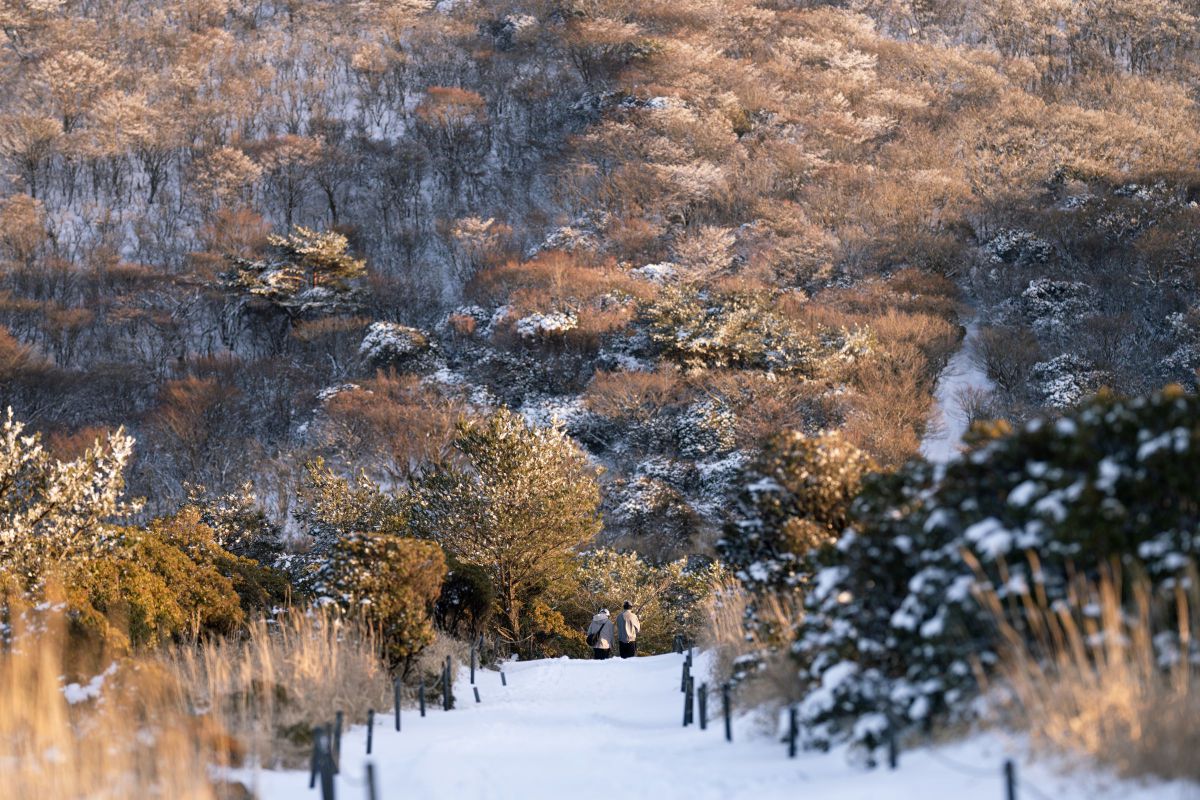 Winter Wonderland | GANREF