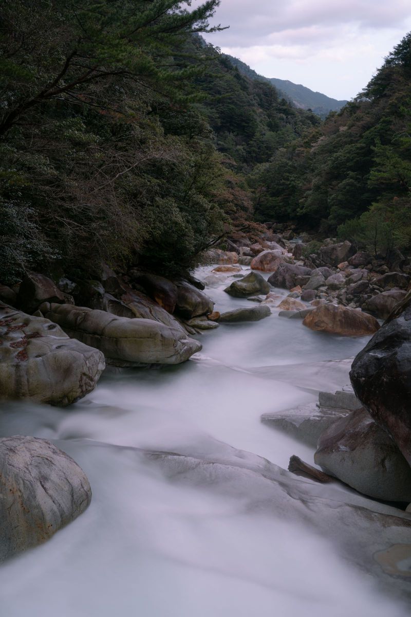 A River Runs Through It | GANREF
