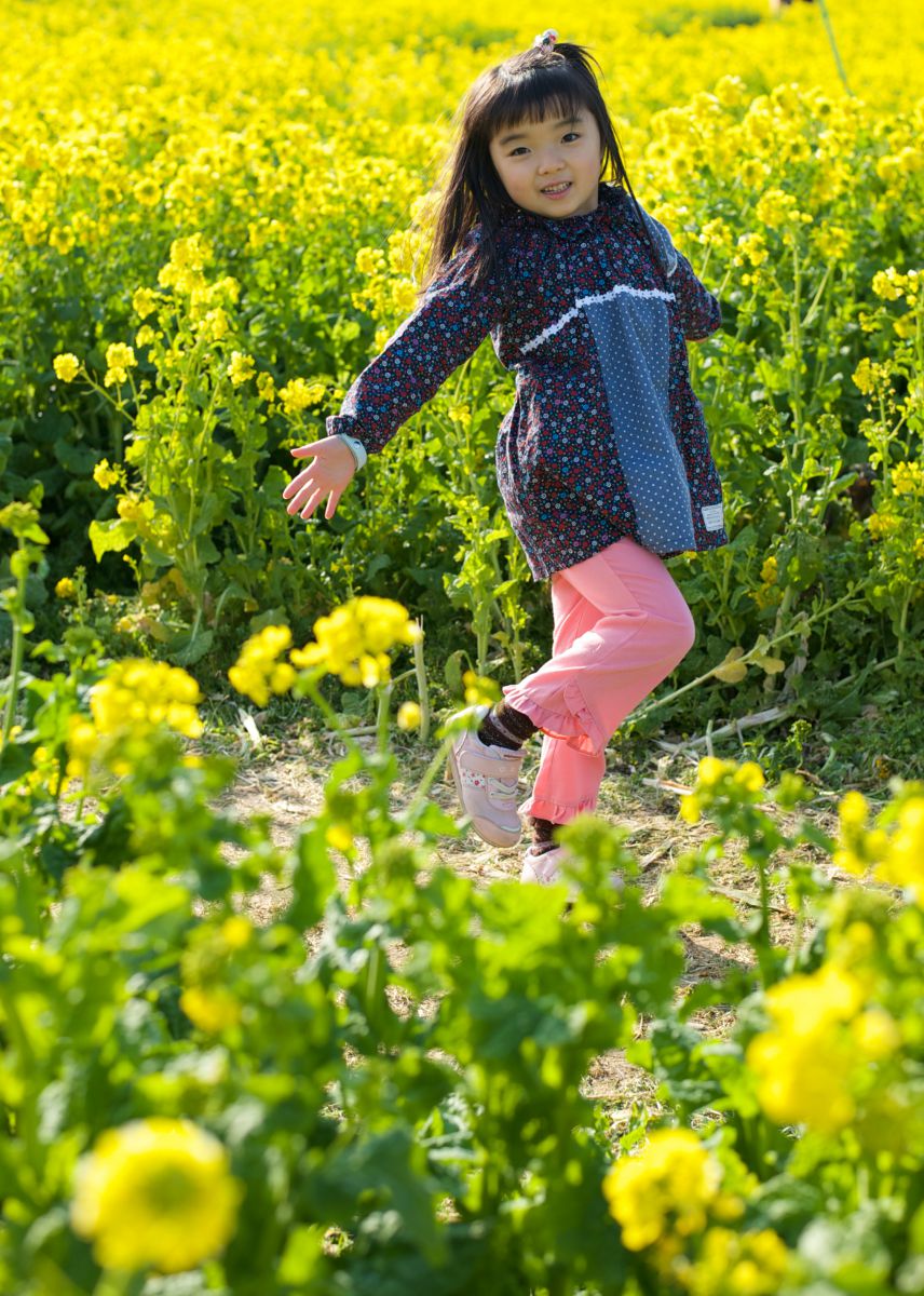 菜の花畑でつかまえて 人物 子供 Ganref