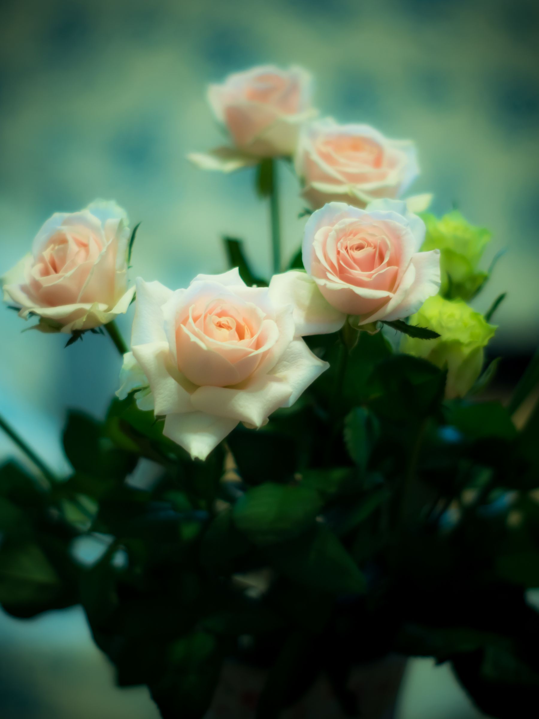 【貴重美品】湖に咲く薔薇 状態B〕(2016/3)湖に咲く薔薇【R】{BSC26-045}《緑》