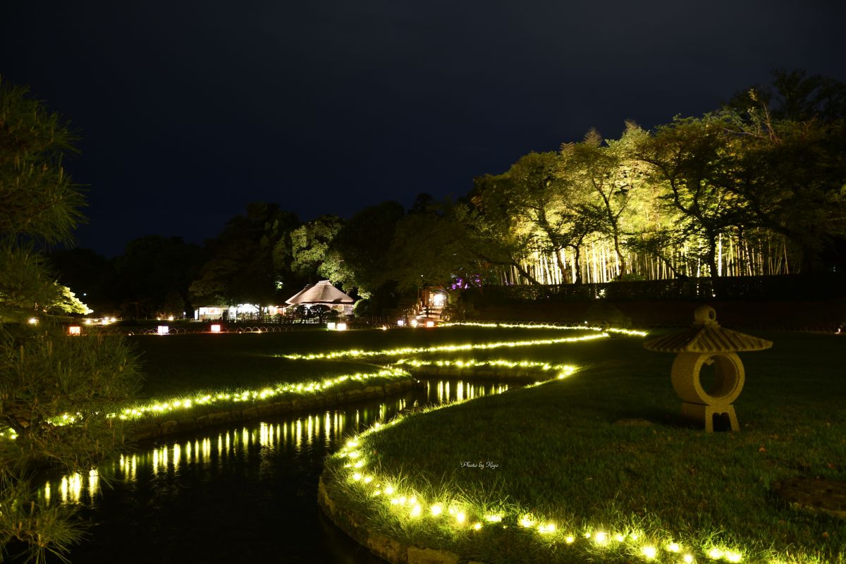 幻想庭園 春の後楽園ライトアップ 自然 風景 水辺 Ganref