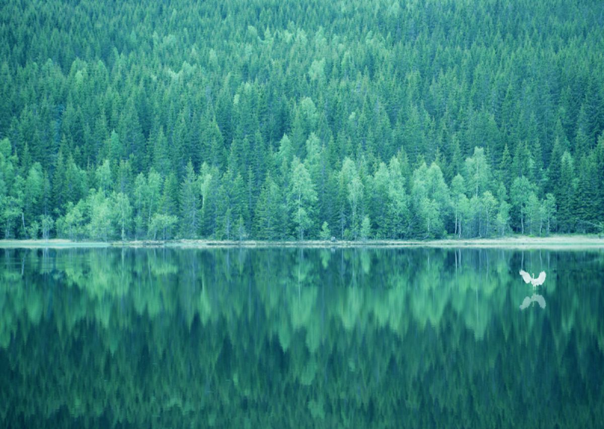 ノルウェーの沼 自然 風景 湖沼 Ganref