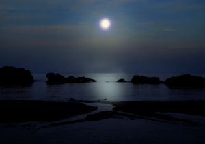 「海から月へ」 39eff2d53778895e8b4b7ee272966f