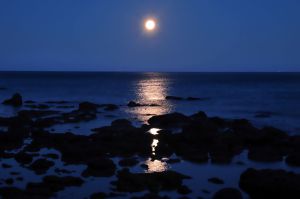 「海から月へ」 MDAwMDAzNTI2MQ_MC43OTIyMzEwMCA