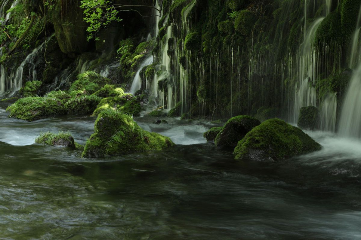 EOS 6D Mark IIで撮影された写真 | 写真検索 | GANREF