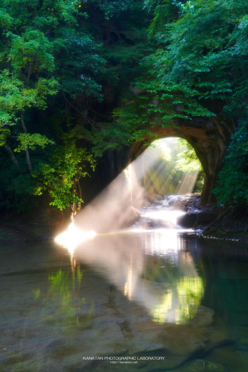 ハートとダイヤ GANREF