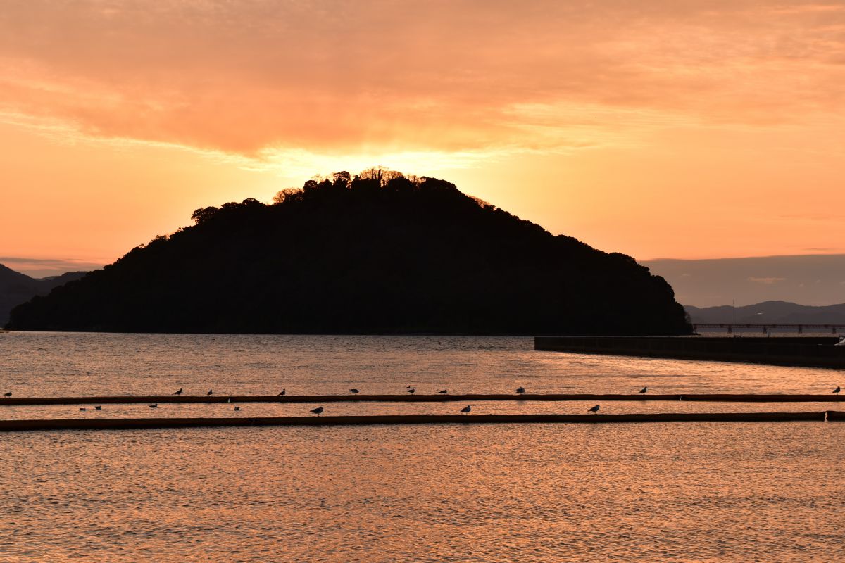夕焼けカモメ 自然 風景 海 Ganref