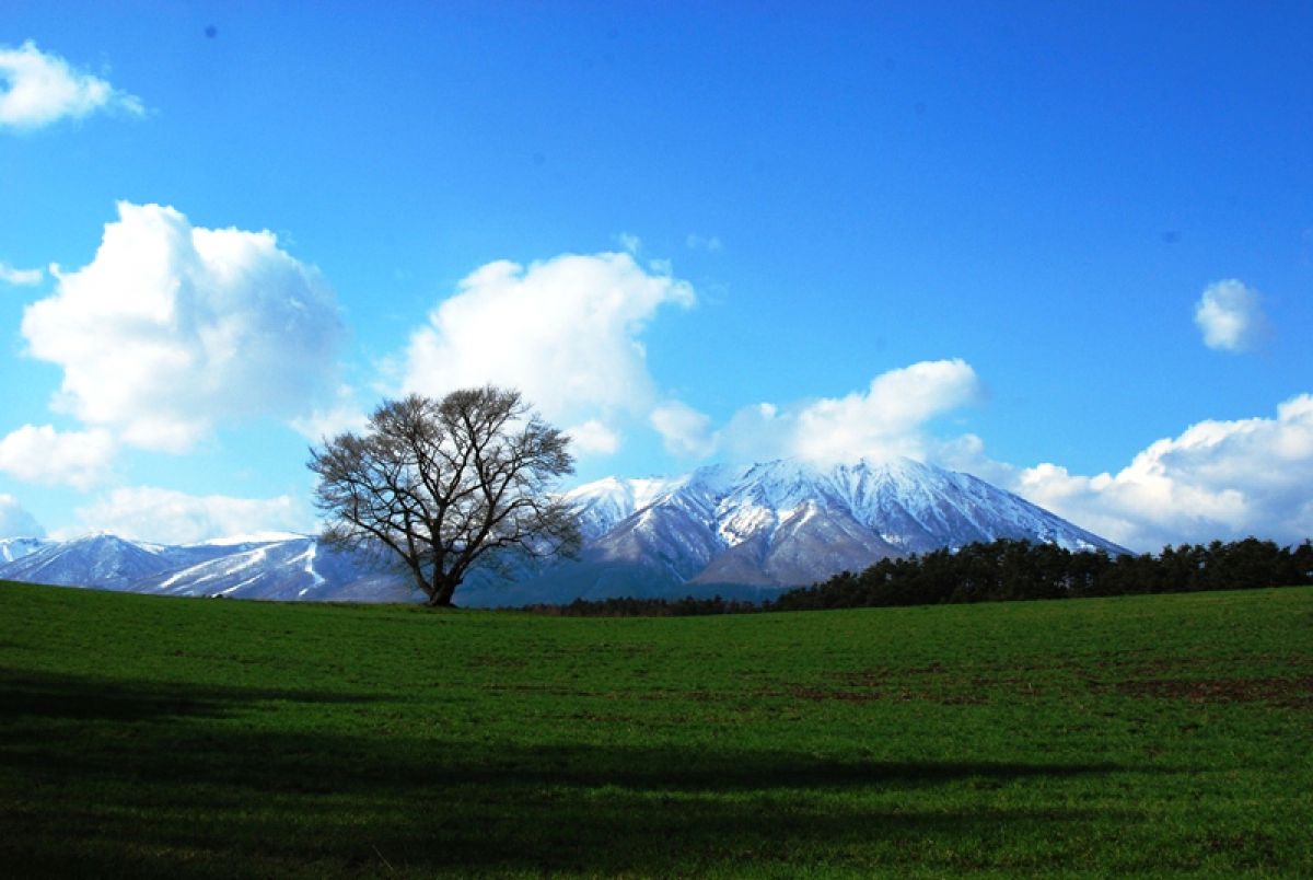 雄大な景色 自然 風景 山 Ganref