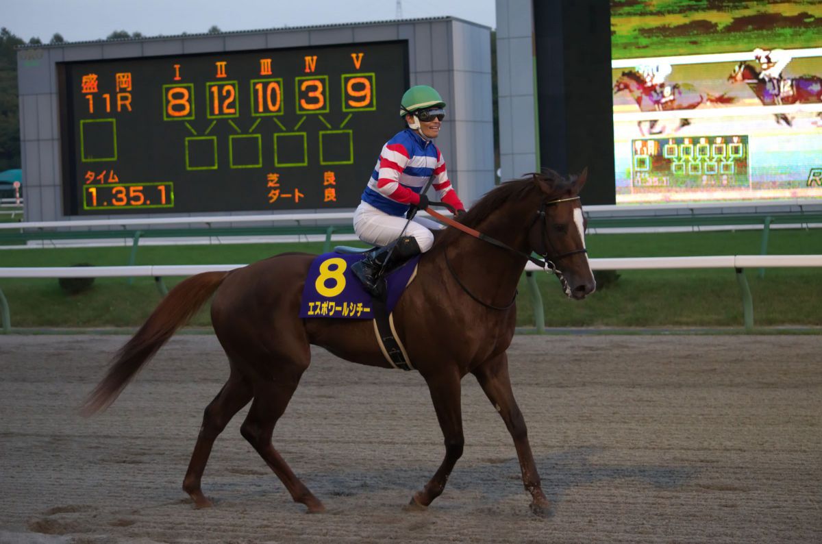 【エスポワールシチー】重賞馬券６枚セット(G1的中馬券含む／現地的中) エスポワールシチー | GANREF