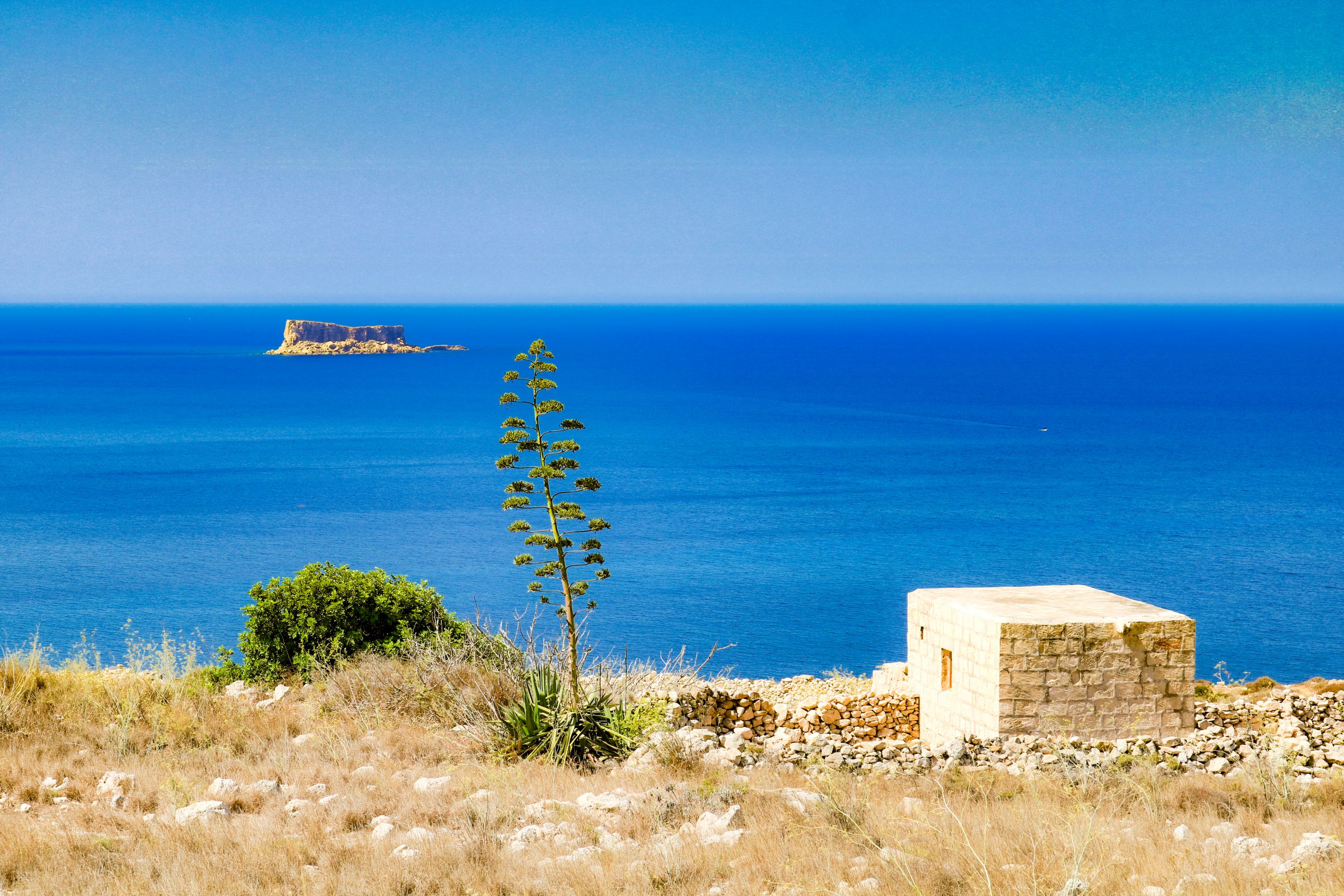青空と海と荒野 | GANREF