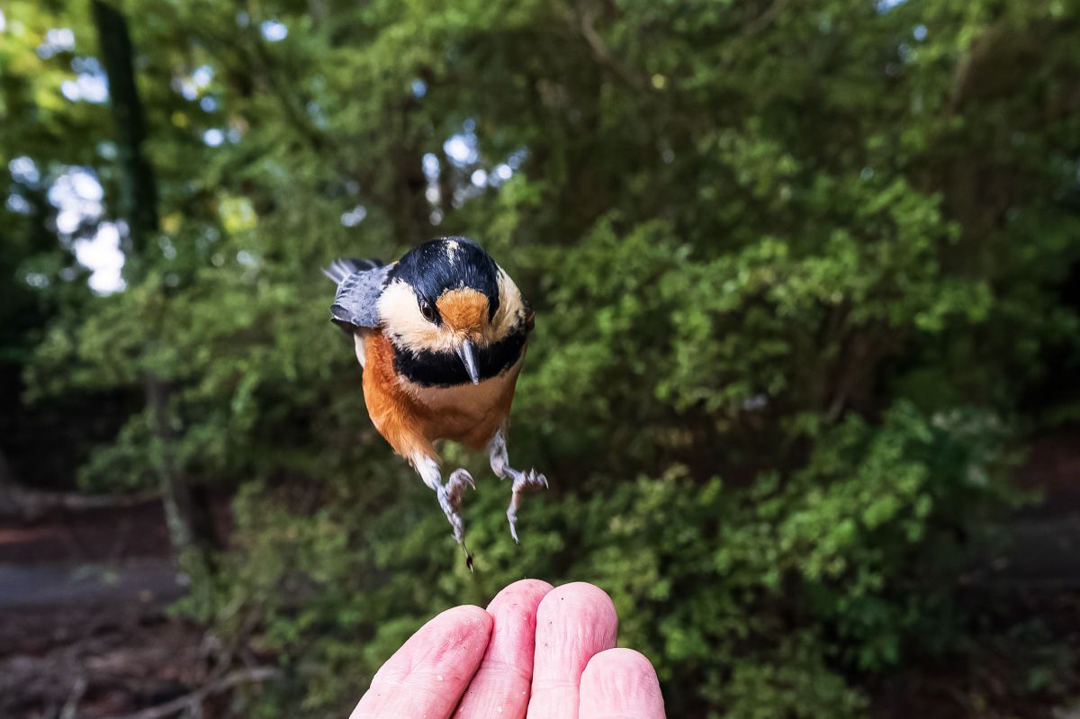 M.ZUIKO DIGITAL ED 12-40mm F2.8 PRO IIで撮影された写真 | 写真検索