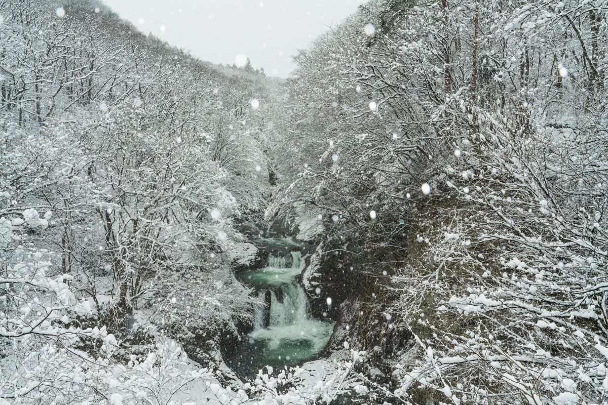 17-50mm F/4 Di III VXDで撮影された写真 | 写真検索 | GANREF