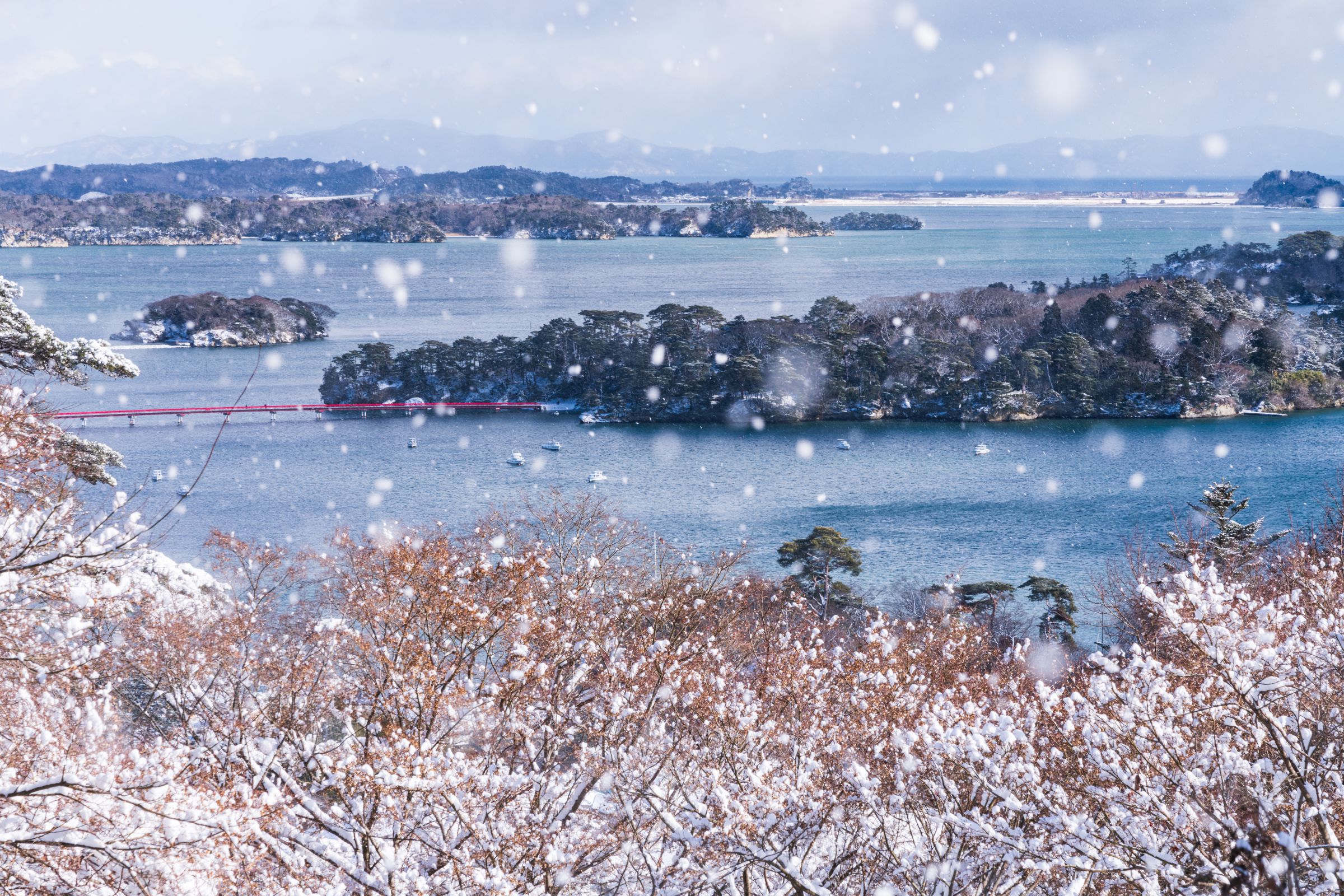 2022元旦は雪の松島 / みじかなけしき | GANREF