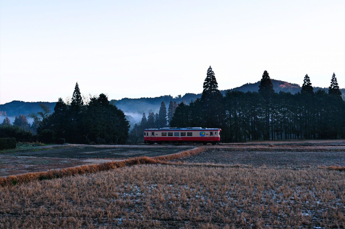 西畑～総元(ⅱ) GANREF