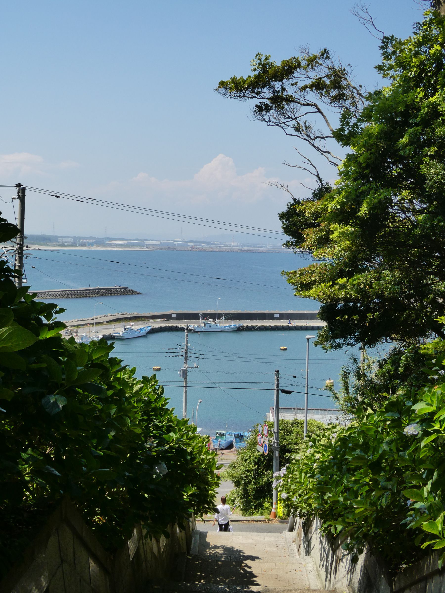 海風景　引き取りのみ 海の見える参道 | GANREF