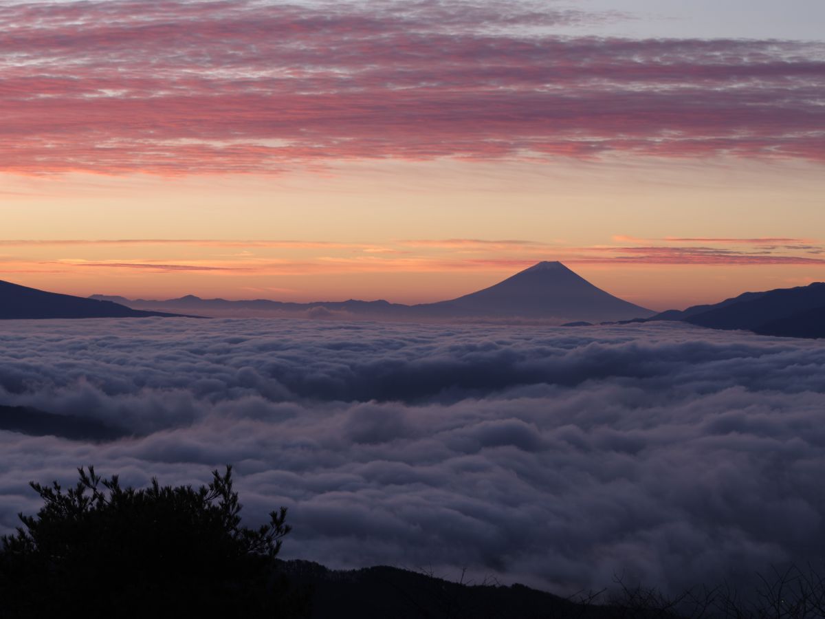 朝焼けと雲海に富士 自然 風景 山 Ganref