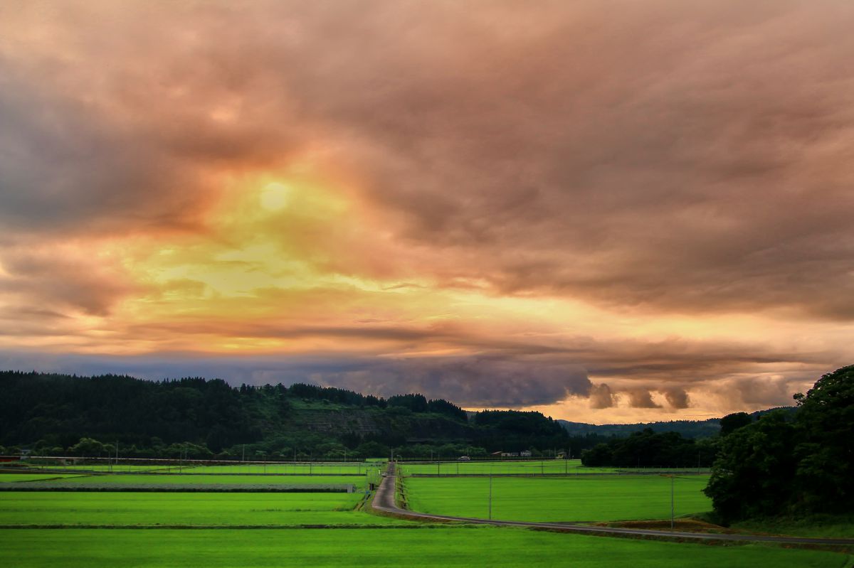 EOS 70Dで撮影された写真 | 写真検索 | GANREF