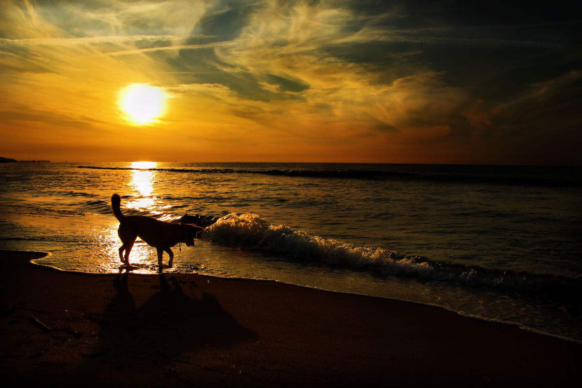 タムロンレンズレビュー #4 日本海の夕日を撮る | GANREF