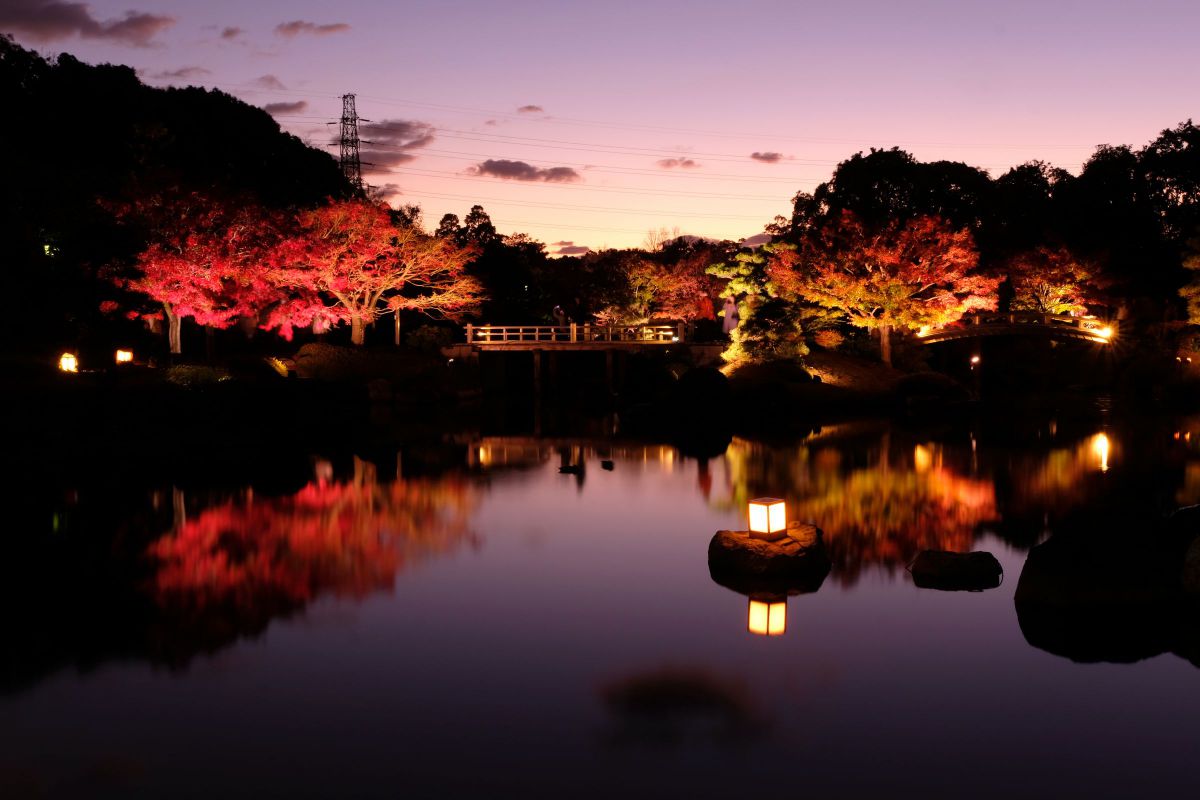 夕暮れ時の紅葉 植物 紅葉 Ganref 夕暮れ時の紅葉 植物 紅葉 Ganref