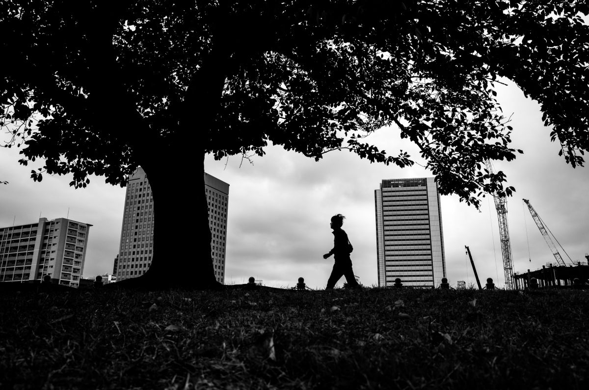 大きなビルの下の小さな木 その下のさらに小さなる僕 街並み 建物 街並み Ganref