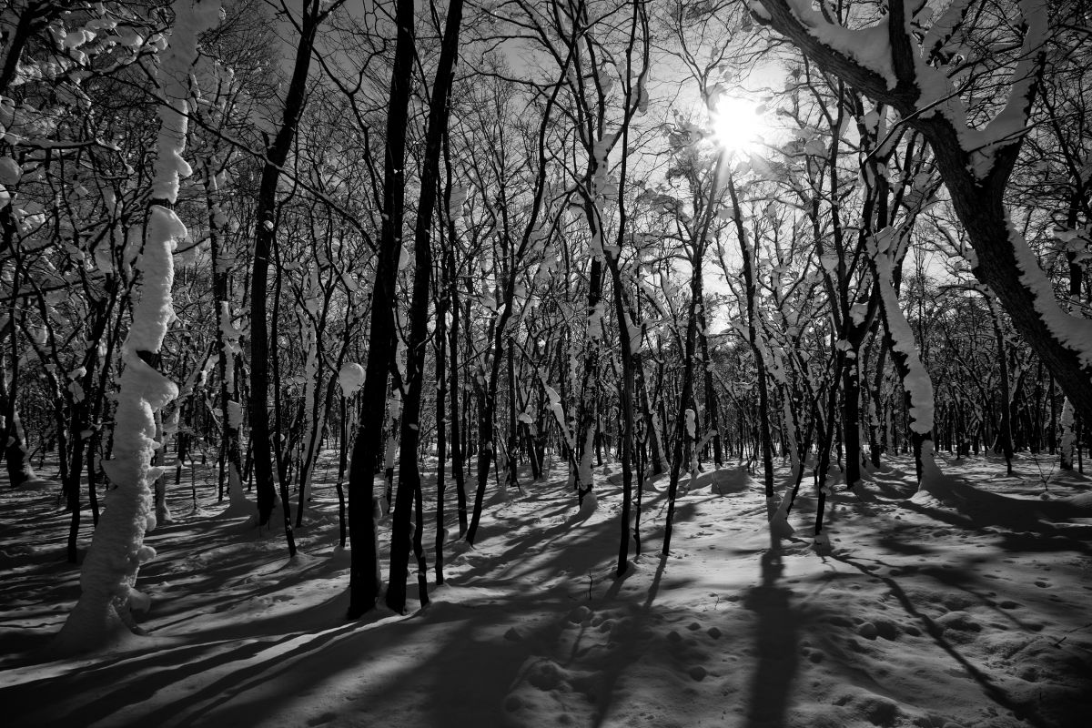 EF17-35mm F2.8L USMで撮影された写真 | 写真検索 | GANREF