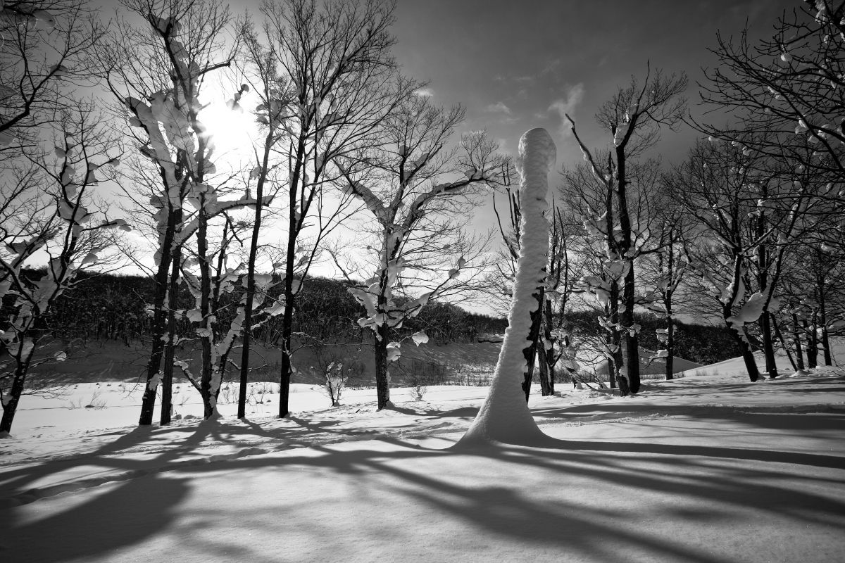 EF17-35mm F2.8L USMで撮影された写真 | 写真検索 | GANREF