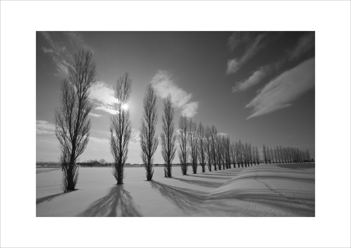 EF17-35mm F2.8L USMで撮影された写真 | 写真検索 | GANREF