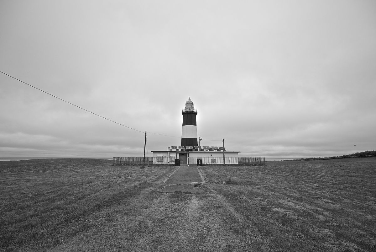 Nikon 1 V1で撮影された写真 | 写真検索 | GANREF