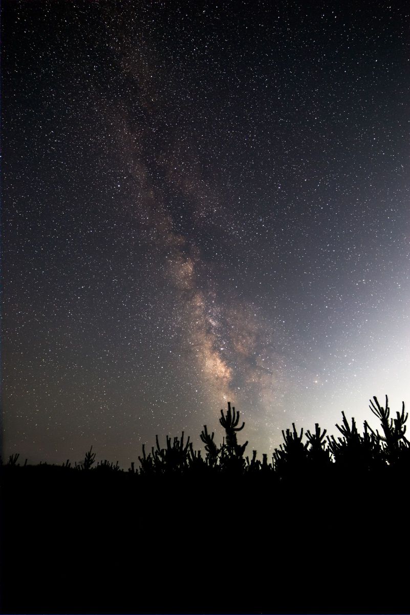 風景の眼 Nikon】NIKKOR Z 14-24mm F2.8 Sと富山観光 | THE MAP TIMES