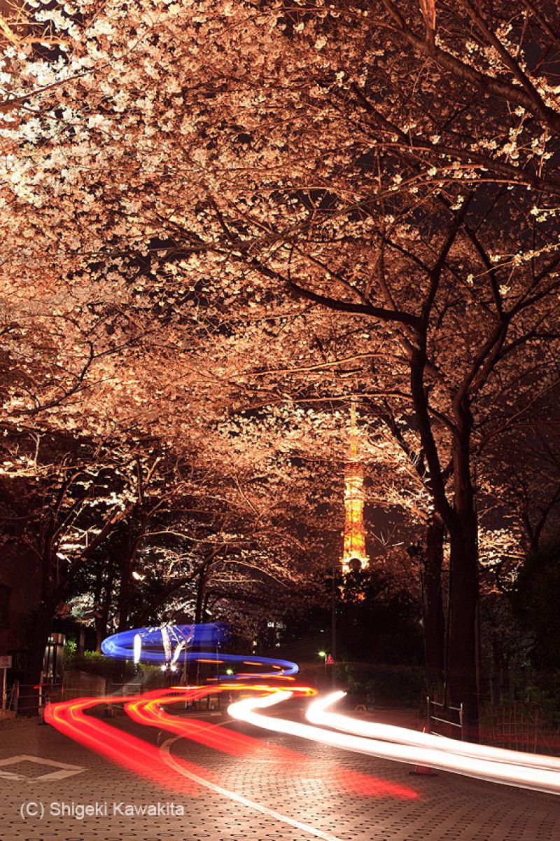 六本木のスペイン坂 街並み 建物 夜景 Ganref