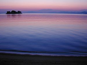 141c04efbb23496ea311f1abc4a32b