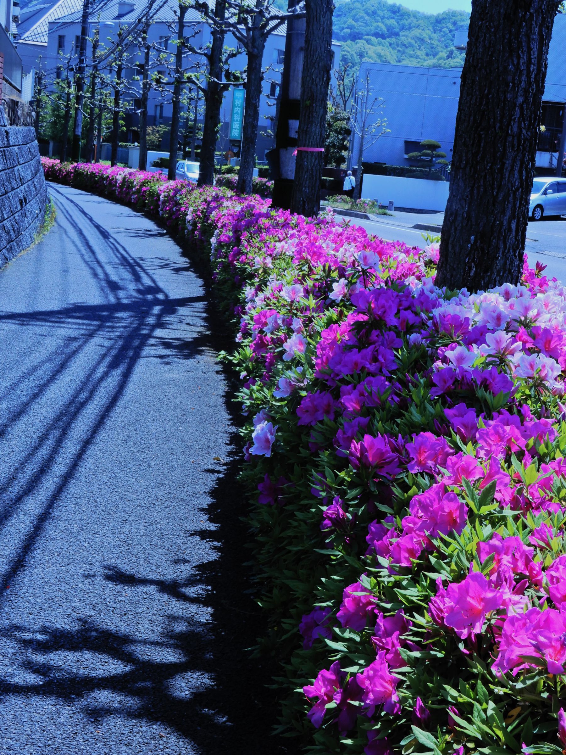 風景写真1990　VOL７～1993年VOL16号10冊セットブティック社 風景写真1990 VOL7～1993年VOL16号10冊セットブティック社 風景