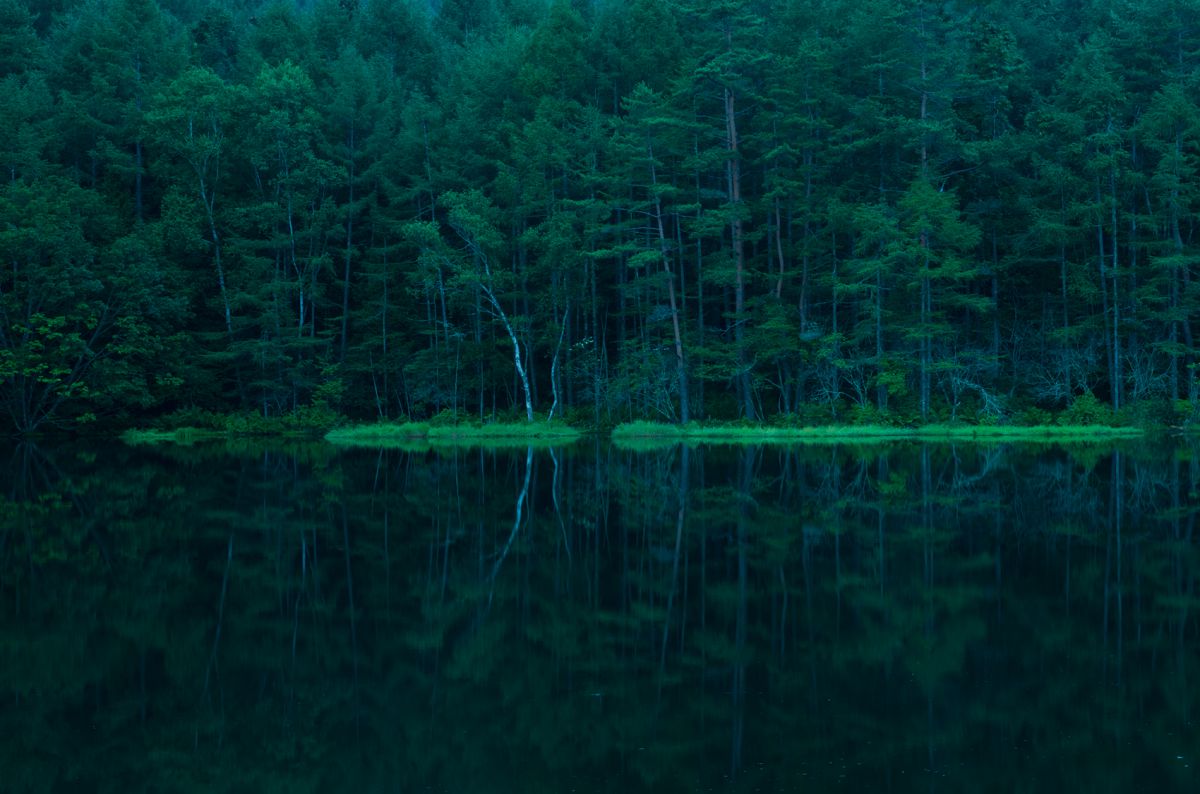 深緑に沈む 自然 風景 湖沼 Ganref 深緑に沈む 自然 風景 湖沼 Ganref