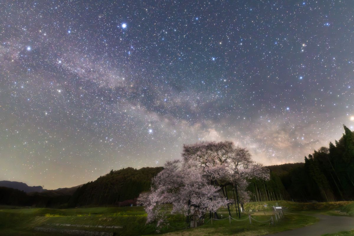 SIGMA 14mm F1.8 DG HSM | Artで撮影された写真 | 写真検索 | GANREF