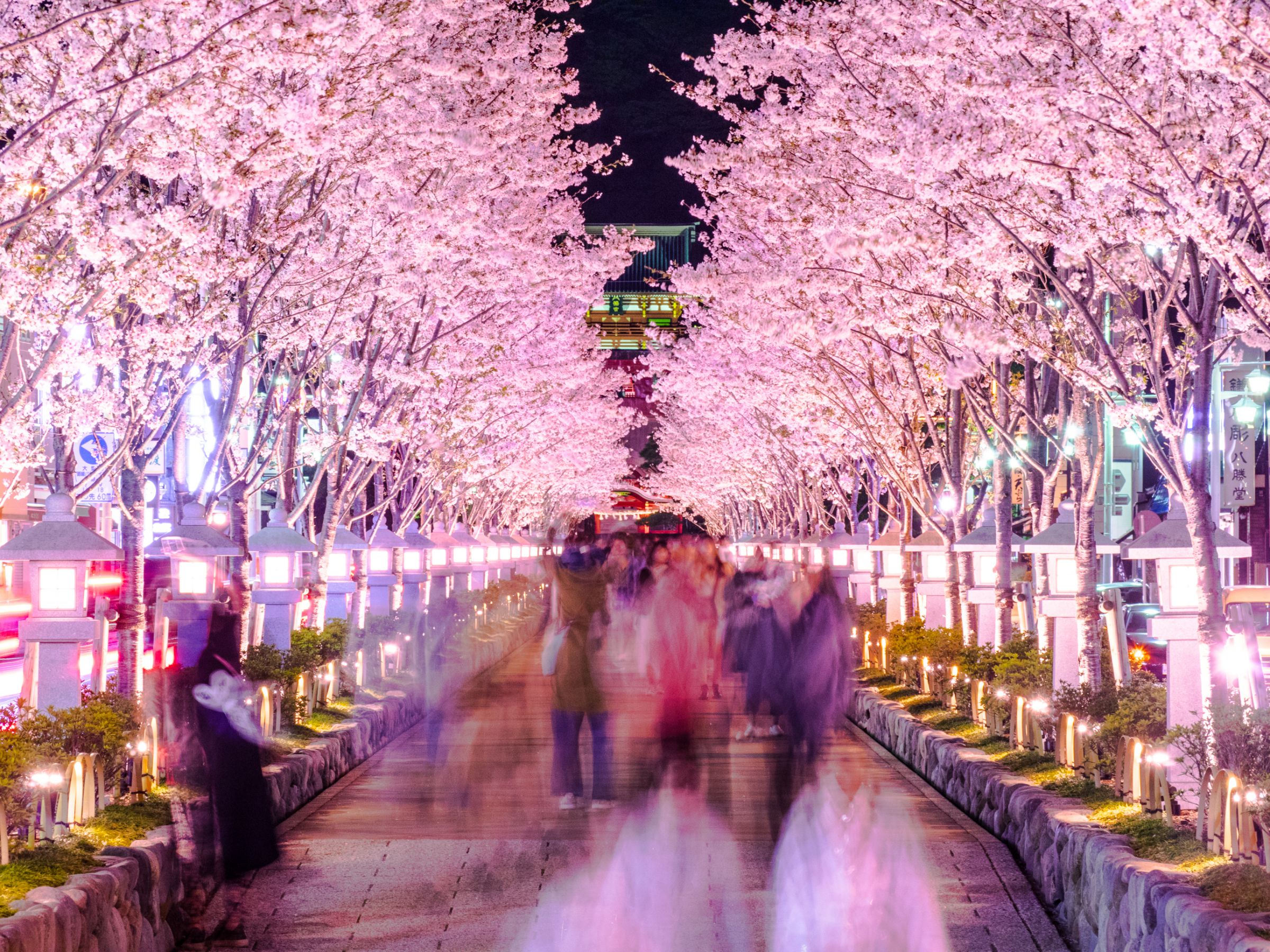 写真集　遊郭　紅燈の街区 写真集 遊郭 紅燈の街区