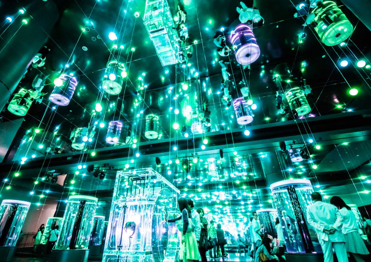 Jellyfish room GANREF