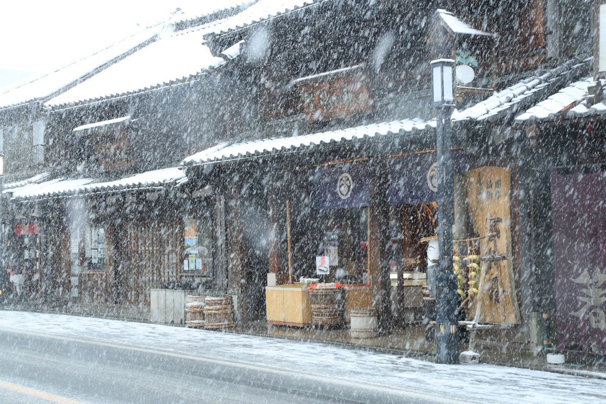 小江戸雪模様 Ganref