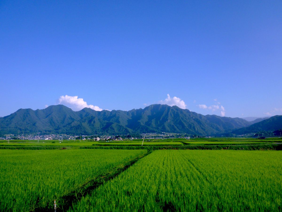 LUMIX DMC-FX60で撮影された写真 | 写真検索 | GANREF