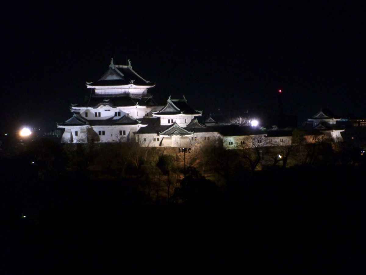 LUMIX DMC-FX60で撮影された写真 | 写真検索 | GANREF